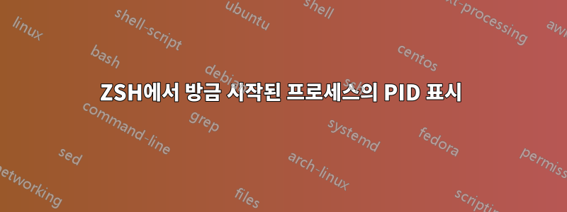 ZSH에서 방금 시작된 프로세스의 PID 표시