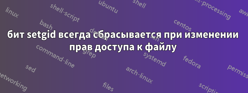 бит setgid всегда сбрасывается при изменении прав доступа к файлу