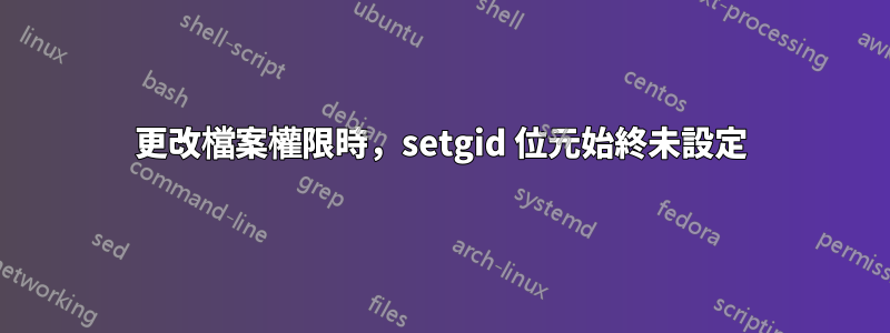 更改檔案權限時，setgid 位元始終未設定