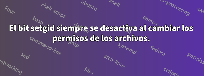 El bit setgid siempre se desactiva al cambiar los permisos de los archivos.