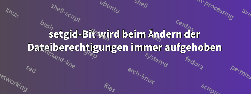 setgid-Bit wird beim Ändern der Dateiberechtigungen immer aufgehoben