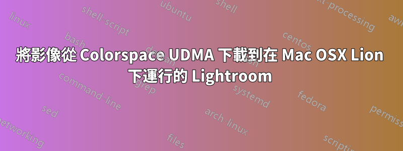 將影像從 Colorspace UDMA 下載到在 Mac OSX Lion 下運行的 Lightroom