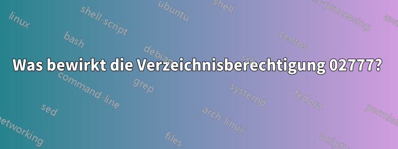 Was bewirkt die Verzeichnisberechtigung 02777?