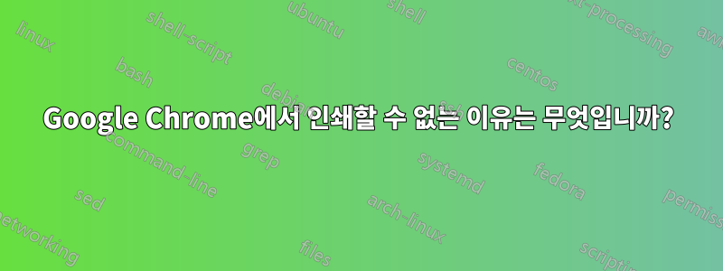 Google Chrome에서 인쇄할 수 없는 이유는 무엇입니까?