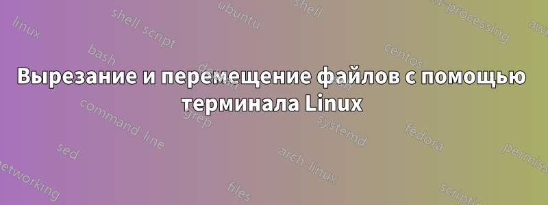 Вырезание и перемещение файлов с помощью терминала Linux