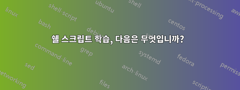 쉘 스크립트 학습, 다음은 무엇입니까? 