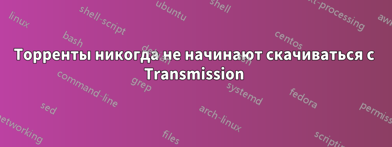 Торренты никогда не начинают скачиваться с Transmission