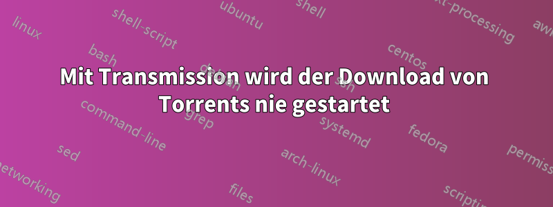 Mit Transmission wird der Download von Torrents nie gestartet