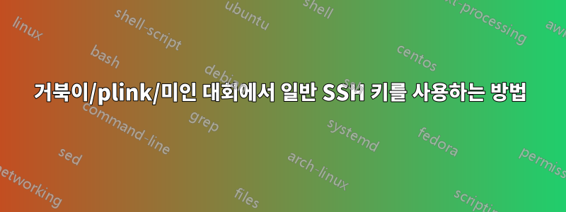 거북이/plink/미인 대회에서 일반 SSH 키를 사용하는 방법