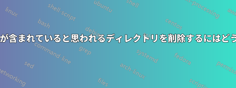 名前のないファイルが含まれていると思われるディレクトリを削除するにはどうすればよいですか?