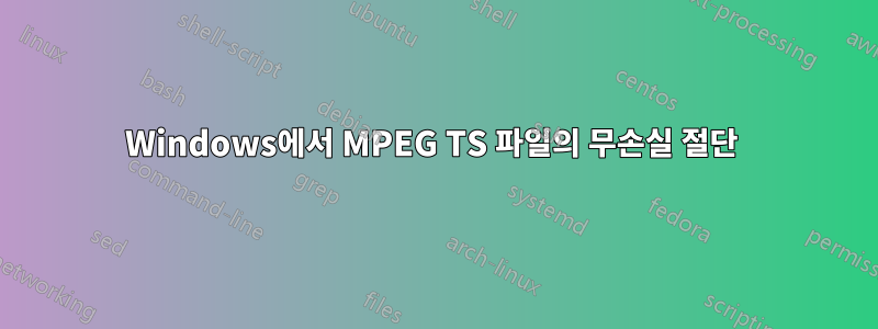 Windows에서 MPEG TS 파일의 무손실 절단 