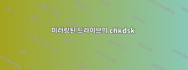 미러링된 드라이브의 chkdsk