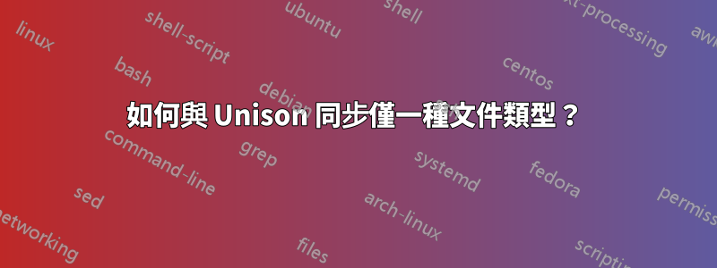 如何與 Unison 同步僅一種文件類型？