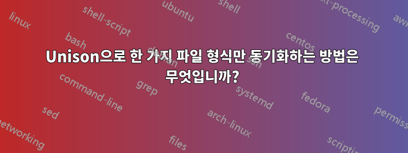 Unison으로 한 가지 파일 형식만 동기화하는 방법은 무엇입니까?