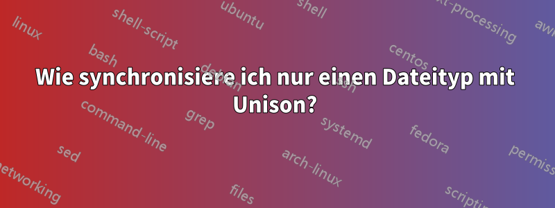 Wie synchronisiere ich nur einen Dateityp mit Unison?