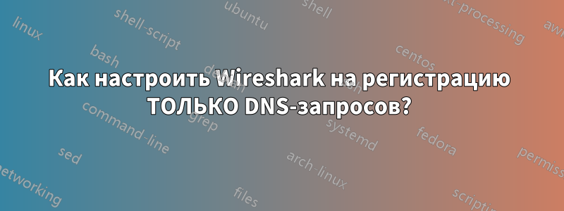 Как настроить Wireshark на регистрацию ТОЛЬКО DNS-запросов?