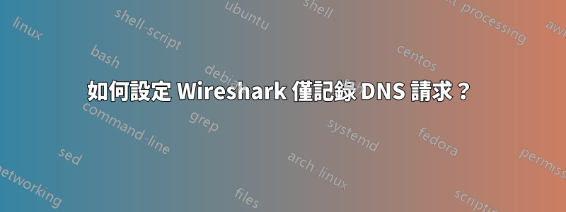 如何設定 Wireshark 僅記錄 DNS 請求？