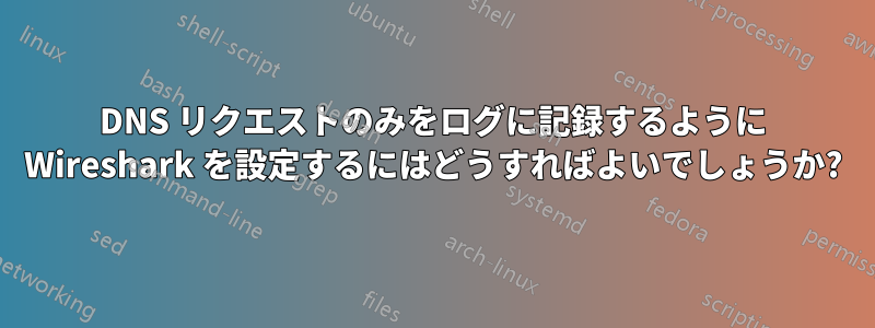 DNS リクエストのみをログに記録するように Wireshark を設定するにはどうすればよいでしょうか?