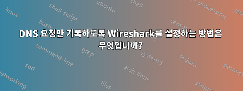 DNS 요청만 기록하도록 Wireshark를 설정하는 방법은 무엇입니까?