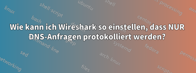 Wie kann ich Wireshark so einstellen, dass NUR DNS-Anfragen protokolliert werden?