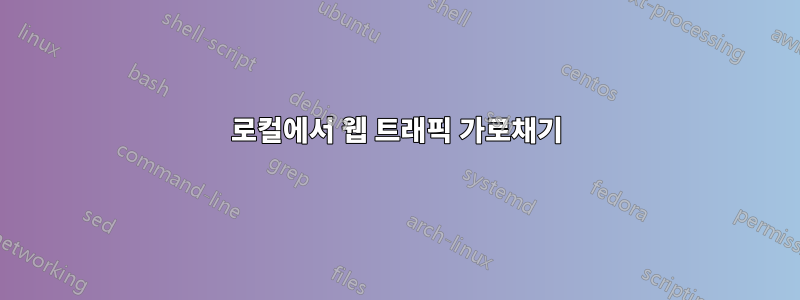 로컬에서 웹 트래픽 가로채기