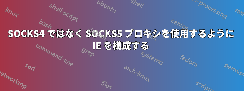 SOCKS4 ではなく SOCKS5 プロキシを使用するように IE を構成する