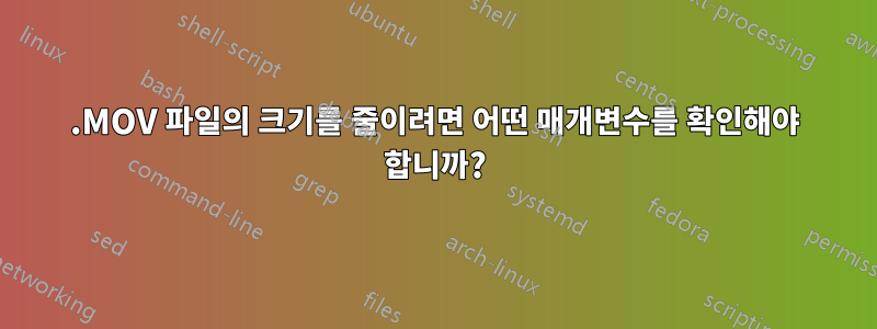 .MOV 파일의 크기를 줄이려면 어떤 매개변수를 확인해야 합니까?