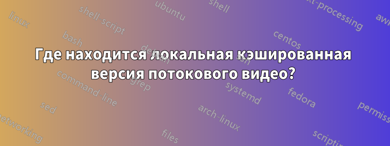 Где находится локальная кэшированная версия потокового видео?