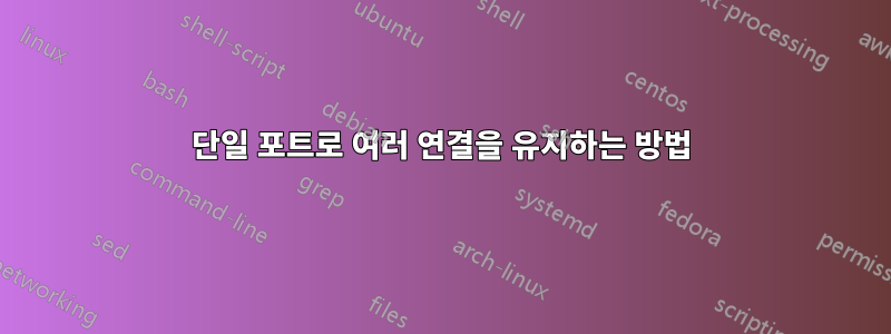 단일 포트로 여러 연결을 유지하는 방법