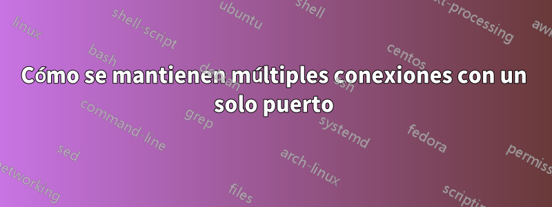 Cómo se mantienen múltiples conexiones con un solo puerto