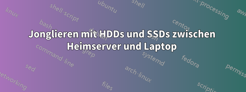 Jonglieren mit HDDs und SSDs zwischen Heimserver und Laptop