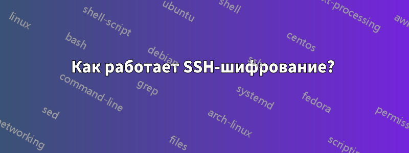 Как работает SSH-шифрование?