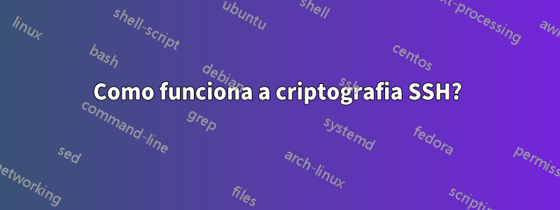 Como funciona a criptografia SSH?