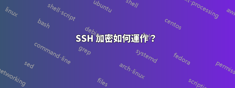 SSH 加密如何運作？