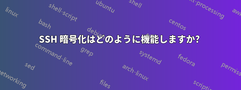SSH 暗号化はどのように機能しますか?
