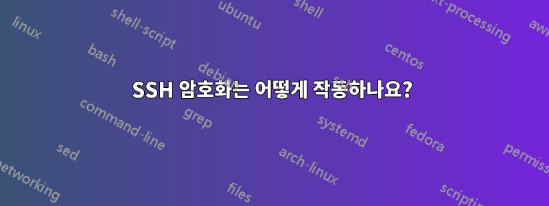 SSH 암호화는 어떻게 작동하나요?