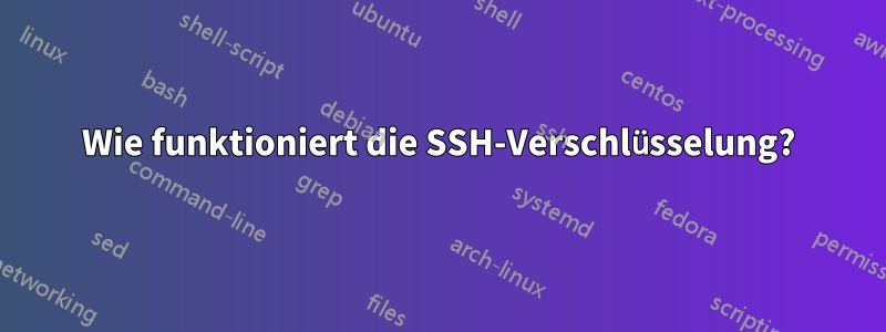 Wie funktioniert die SSH-Verschlüsselung?