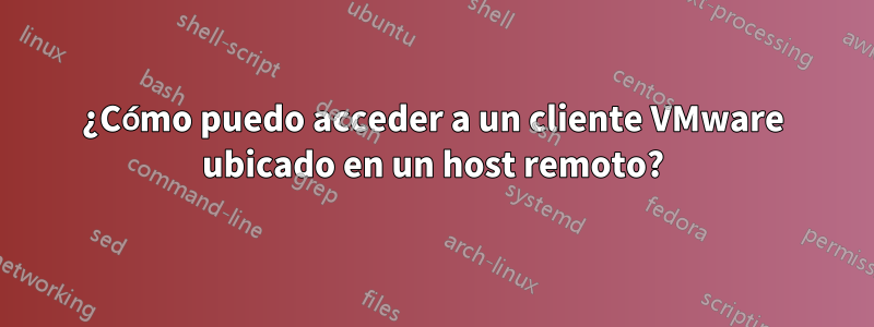 ¿Cómo puedo acceder a un cliente VMware ubicado en un host remoto?