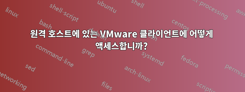 원격 호스트에 있는 VMware 클라이언트에 어떻게 액세스합니까?