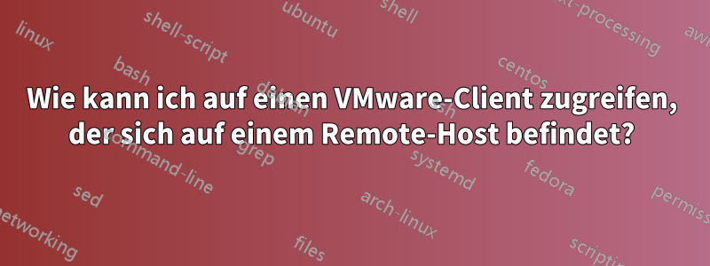 Wie kann ich auf einen VMware-Client zugreifen, der sich auf einem Remote-Host befindet?