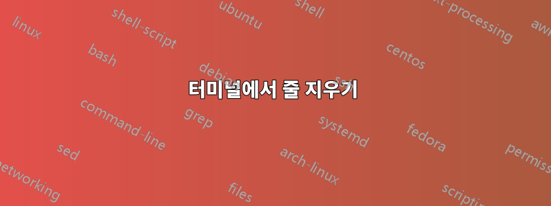 터미널에서 줄 지우기