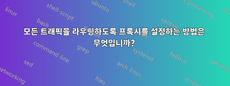 모든 트래픽을 라우팅하도록 프록시를 설정하는 방법은 무엇입니까?