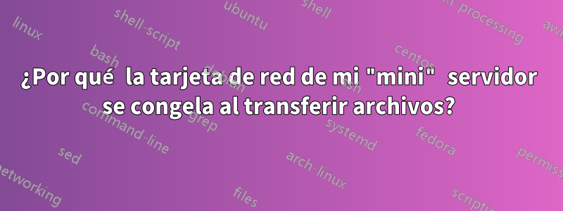 ¿Por qué la tarjeta de red de mi "mini" servidor se congela al transferir archivos?