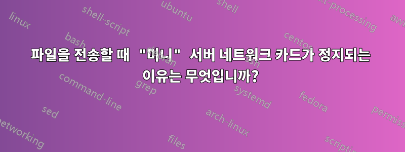 파일을 전송할 때 "미니" 서버 네트워크 카드가 정지되는 이유는 무엇입니까?