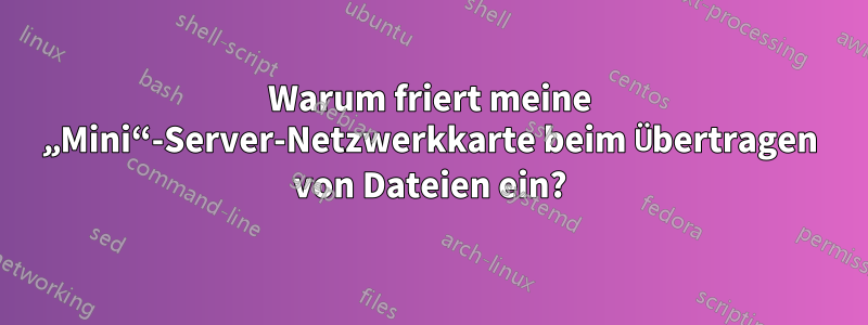 Warum friert meine „Mini“-Server-Netzwerkkarte beim Übertragen von Dateien ein?