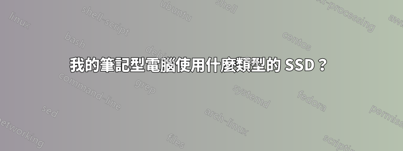 我的筆記型電腦使用什麼類型的 SSD？