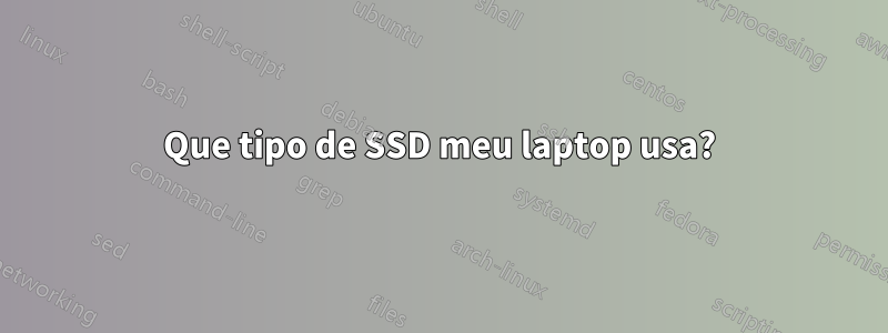 Que tipo de SSD meu laptop usa?