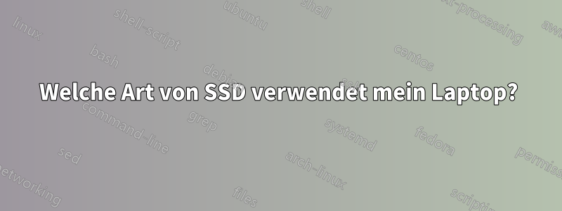 Welche Art von SSD verwendet mein Laptop?