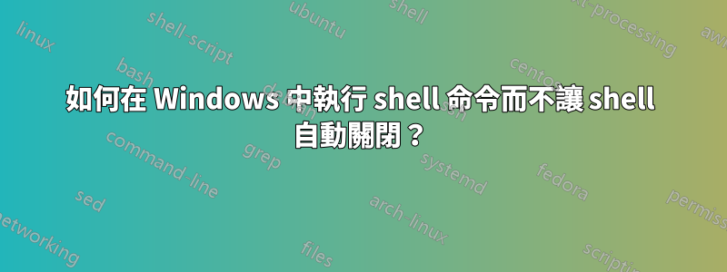 如何在 Windows 中執行 shell 命令而不讓 shell 自動關閉？