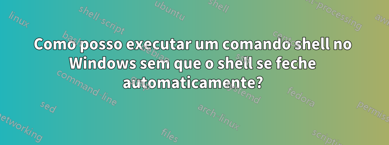 Como posso executar um comando shell no Windows sem que o shell se feche automaticamente?